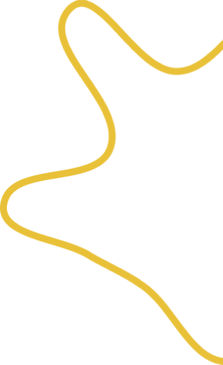 layer-11.png